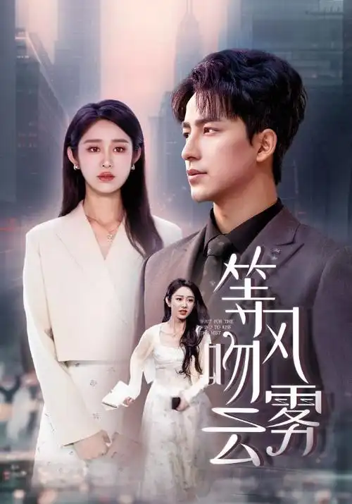 电视剧《长安十二时辰·终章》封面